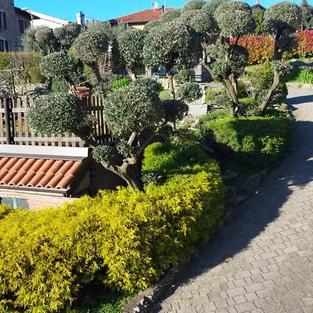 Al Vecchio Lavatoio - Relax In Collina Guest house
